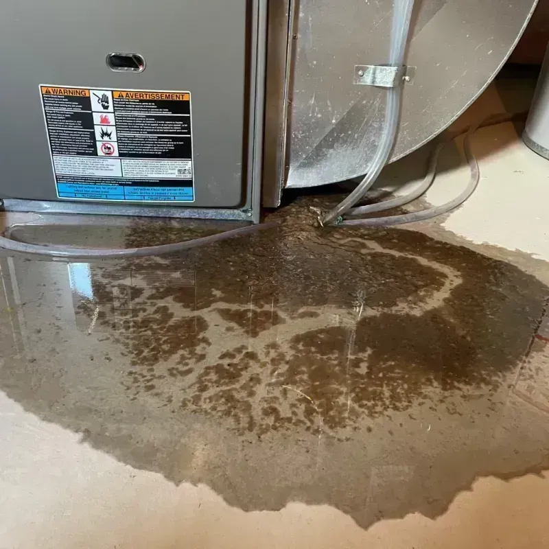 Appliance Leak Cleanup in Johnson County, MO